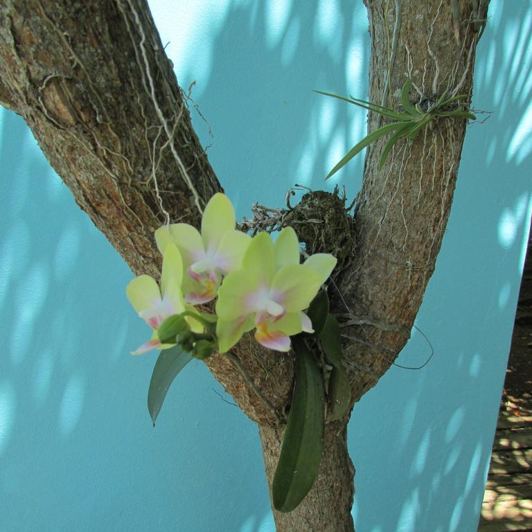 Culebra Island Villas Isla Culebra ภายนอก รูปภาพ